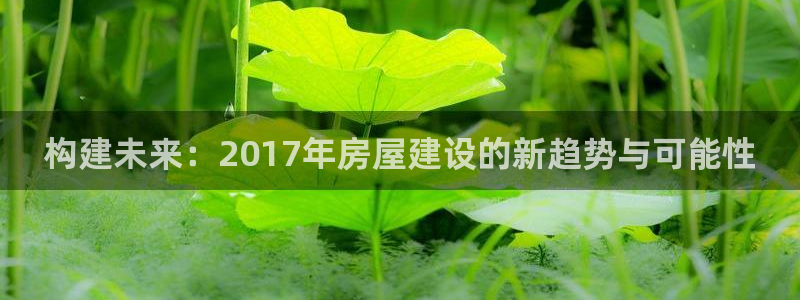 富联娱乐招商监判官333OO：构建未来：2017年房屋建设的新趋势与可能性