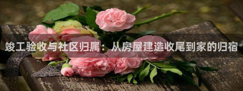 富联娱乐招商命判官333OO：竣工验收与社区归属：从房屋建造收尾到家的归宿