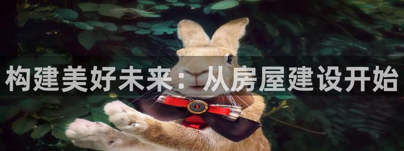 富联娱乐平台注册流程图：构建美好未来：从房屋建设开始