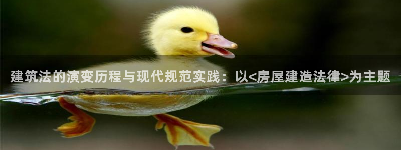 富联娱乐骗局揭秘：建筑法的演变历程与现代规范实践：以<房屋建造法律>为主题