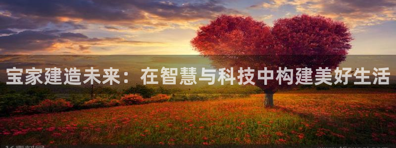 富联娱乐平台：宝家建造未来：在智慧与科技中构建美好生活