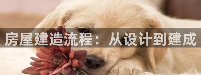富联娱乐指究7276O：房屋建造流程：从设计到建成