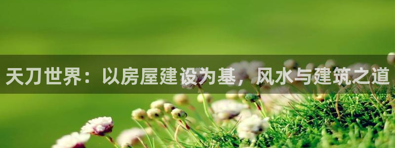 富联娱乐测速登录不上：天刀世界：以房屋建设为基，风水与建筑之道
