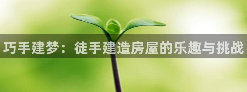 富联娱乐平台登录地址在哪里看：巧手建梦：徒手建造房屋的乐趣与挑战