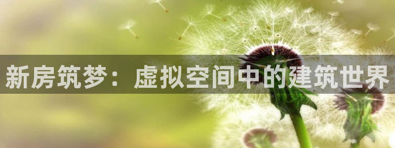 富联娱乐app更新不了：新房筑梦：虚拟空间中的建筑世界