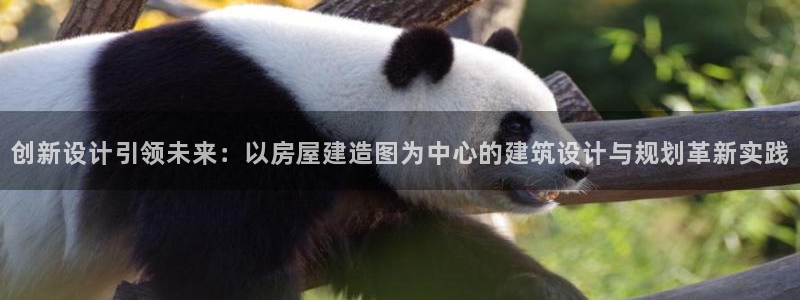 富联娱乐招商慢判官333OO：创新设计引领未来：以房屋建造图为中心的建筑设计与规划革新实践