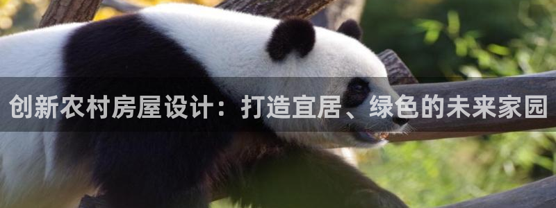富联娱乐注册地址上海：创新农村房屋设计：打造宜居、绿色的未来家园