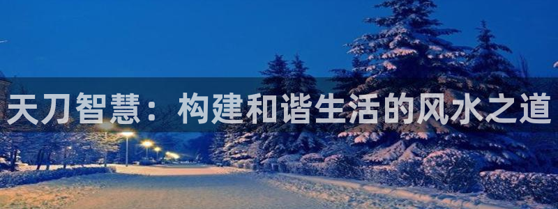 富联娱乐平台官网下载：天刀智慧：构建和谐生活的风水之道