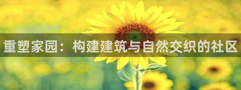 富联娱乐忘记账号密码