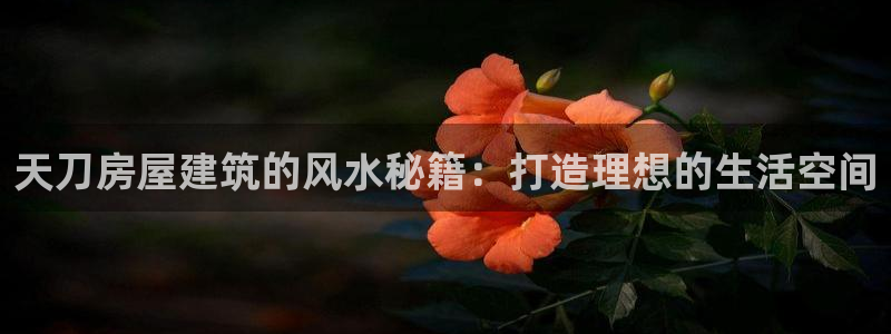 富联娱乐首页网站：天刀房屋建筑的风水秘籍：打造理想的生活空间