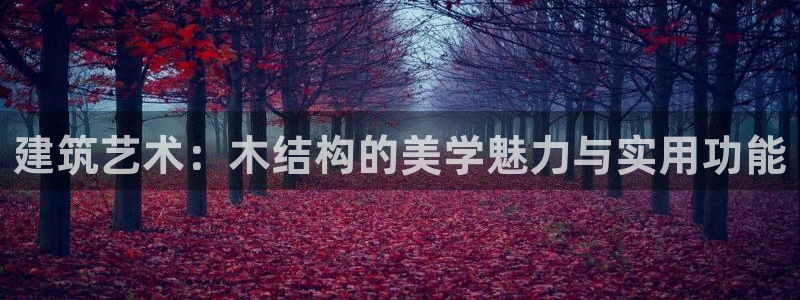 富联娱乐招商右原判官333OO：建筑艺术：木结构的美学魅力与实用功能