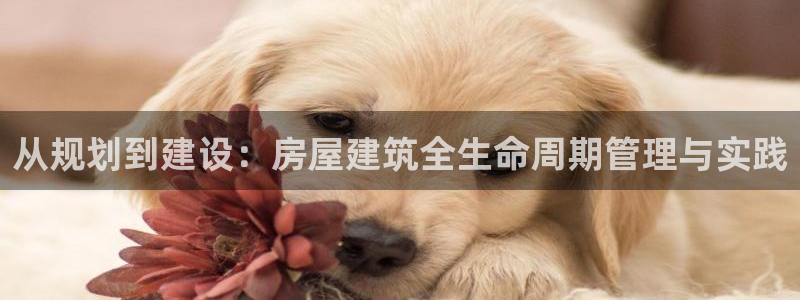 富联娱乐达七九九47：从规划到建设：房屋建筑全生命周期管理与实践