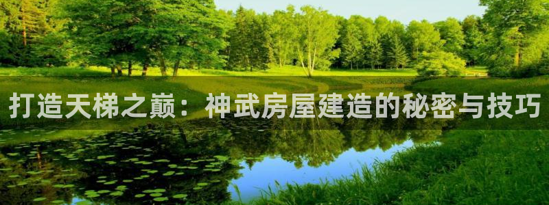 富联娱乐注册的判官333OO：打造天梯之巅：神武房屋建造的秘密与技巧