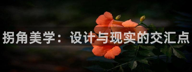 富联娱乐注册任判官333OO：拐角美学：设计与现实的交汇点