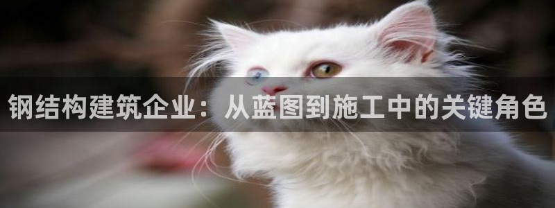 富联娱乐招商：钢结构建筑企业：从蓝图到施工中的关键角色