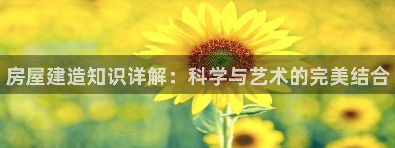 富联娱乐平台怎么样知乎：房屋建造知识详解：科学与艺术的完美结合