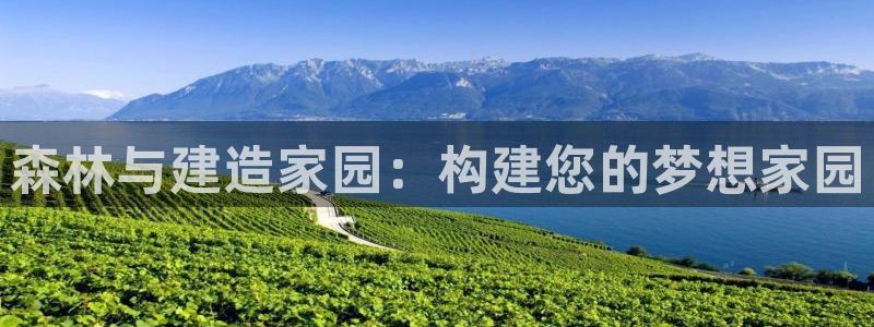 富联娱乐卜67OO6：森林与建造家园：构建您的梦想家园
