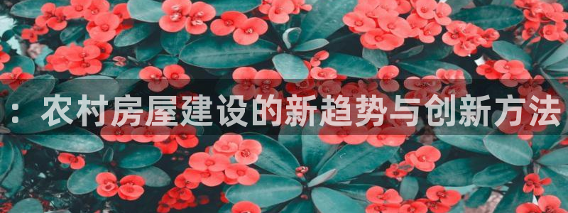 富联娱乐招商左原判官333OO：：农村房屋建设的新趋势与创新方法