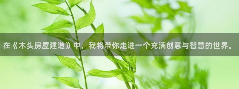 富联娱乐登录测速软件：在《木头房屋建造》中，我将带你走进一个充满创意与智慧的世界。