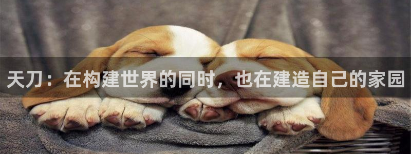 富联2娱乐元哥：天刀：在构建世界的同时，也在建造自己的家园