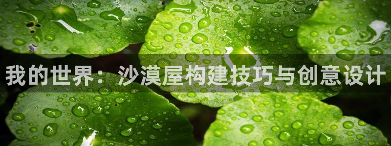 富联娱乐登录入口：我的世界：沙漠屋构建技巧与创意设计