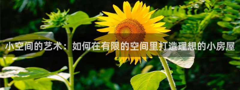 富联新村二区有啥娱乐：小空间的艺术：如何在有限的空间里打造理想的小房屋