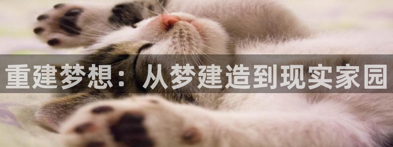 富联娱乐寸六七五一38：重建梦想：从梦建造到现实家园