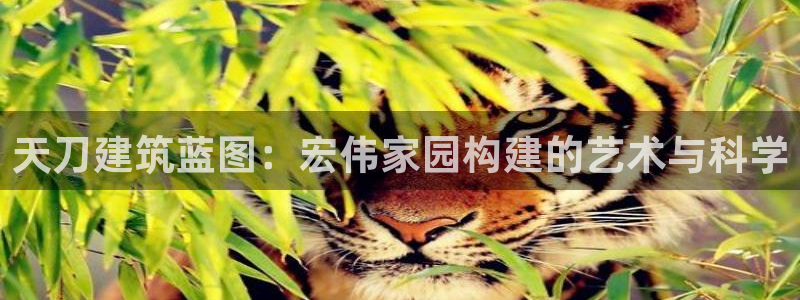 富联娱乐招商烈判官333OO：天刀建筑蓝图：宏伟家园构建的艺术与科学