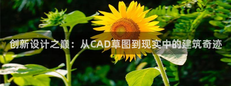 富联娱乐客户端怎么下载：创新设计之巅：从CAD草图到现实中的建筑奇迹
