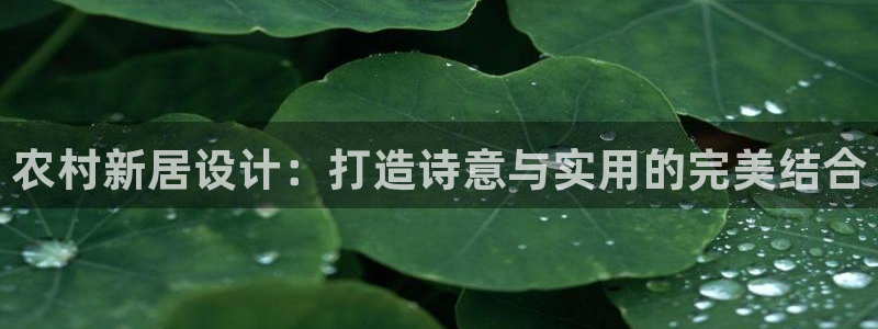 富联娱乐主管述判官333OO：农村新居设计：打造诗意与实用的完美结合