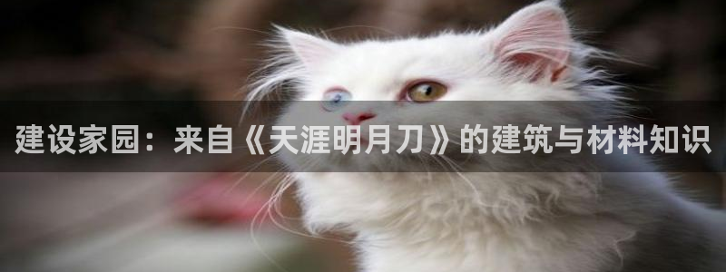 富联娱乐女团是谁的公司：建设家园：来自《天涯明月刀》的建筑与材料知识