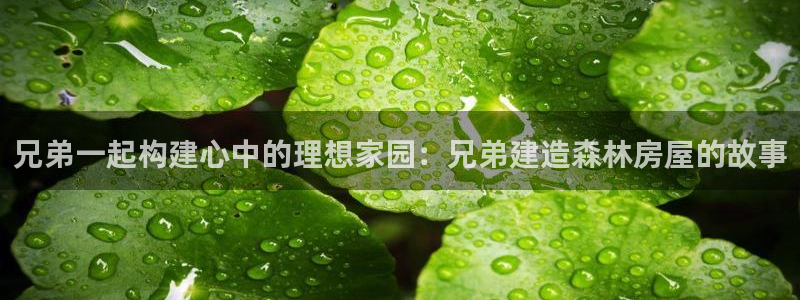 联富市场娱乐园：兄弟一起构建心中的理想家园：兄弟建造森林房屋的故事