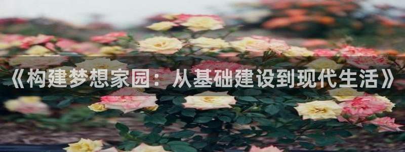 富联娱乐平台客服电话：《构建梦想家园：从基础建设到现代生活》