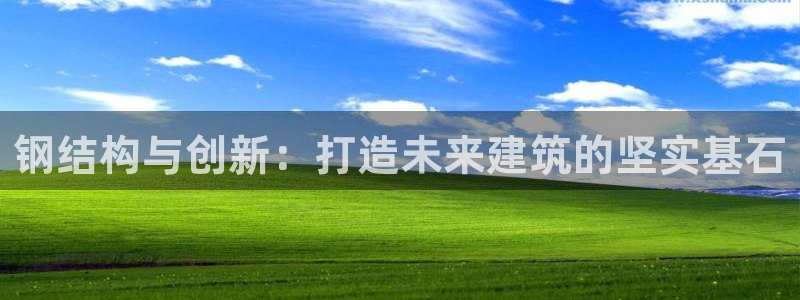 富联娱乐注册数判官333OO：钢结构与创新：打造未来建筑的坚实基石