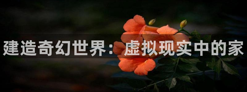 富联娱乐官网首页网址：建造奇幻世界：虚拟现实中的家