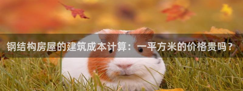富联娱乐首页登录：钢结构房屋的建筑成本计算：一平方米的价格贵吗？
