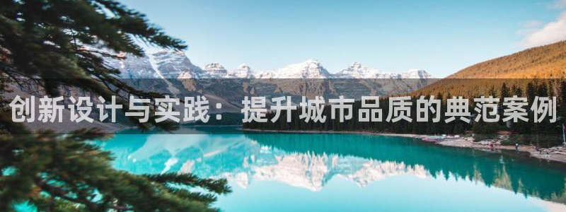 富联娱乐元哥简介图片：创新设计与实践：提升城市品质的典范案例