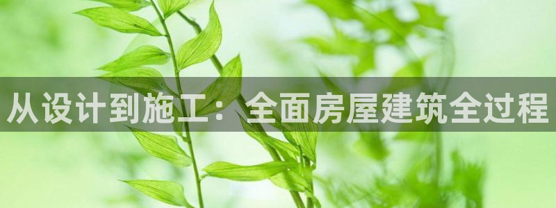 富联娱乐app更新版本：从设计到施工：全面房屋建筑全过程
