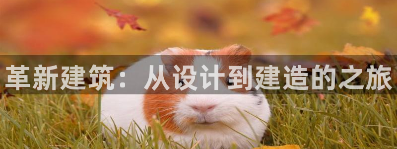 富联娱乐勺67五壹叁八：革新建筑：从设计到建造的之旅