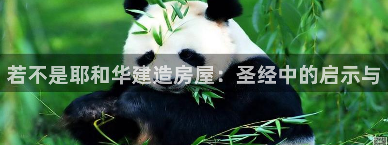 佰富联娱乐团购是正品吗：若不是耶和华建造房屋：圣经中的启示与