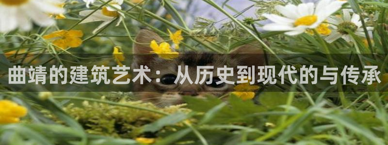 富联娱乐发展历程：曲靖的建筑艺术：从历史到现代的与传承