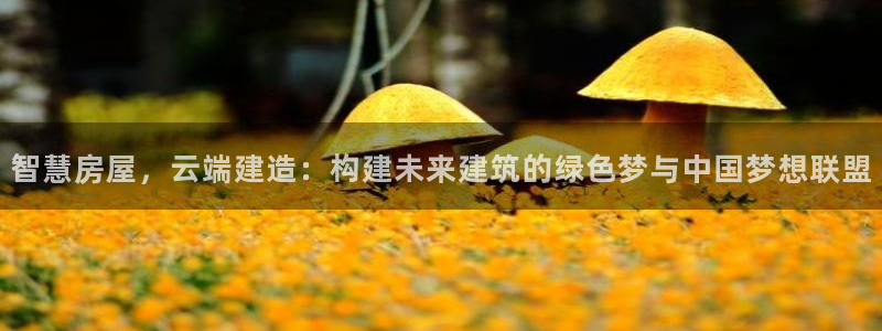 富联娱乐登录地址怎么改：智慧房屋，云端建造：构建未来建筑的绿色梦与中国梦想联盟