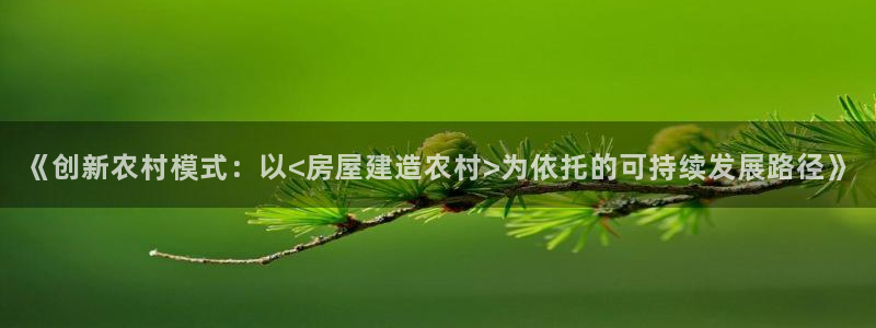 富联娱乐322901：《创新农村模式：以<房屋建造农村>为依托的可持续发展路径》