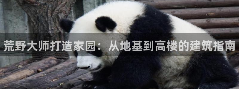 富联娱乐贴吧最新消息网：荒野大师打造家园：从地基到高楼的建筑指南