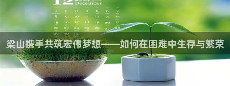 富联娱乐是真的吗：梁山携手共筑宏伟梦想——如何在困难中生存与繁荣