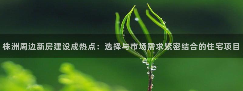 富联娱乐骗局揭秘：株洲周边新房建设成热点：选择与市场需求紧密结合的住宅项目