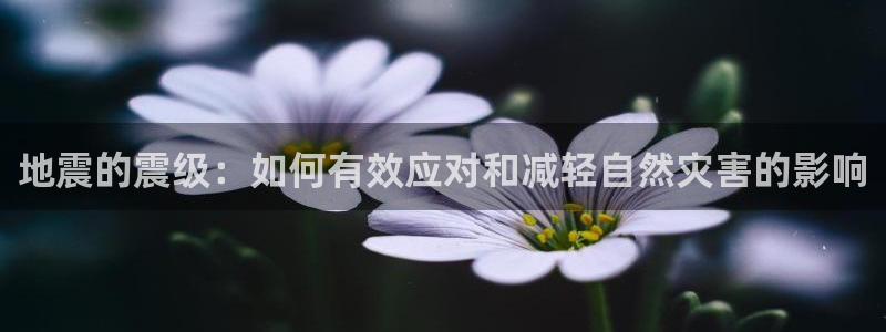 富联娱乐整7O777：地震的震级：如何有效应对和减轻自然灾害的影响