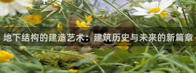 富联娱乐招商型判官333OO：地下结构的建造艺术：建筑历史与未来的新篇章