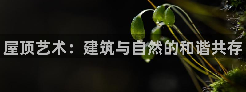 富联娱乐受究7276O：屋顶艺术：建筑与自然的和谐共存