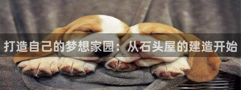 富联娱乐女团排名多少位：打造自己的梦想家园：从石头屋的建造开始